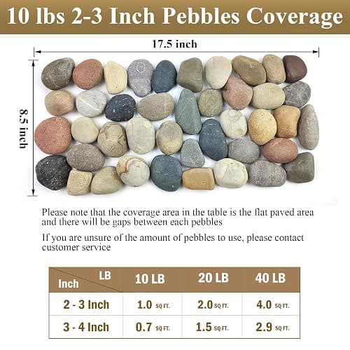 FANTIAN 20 lbs Natural River Rocks Mexican Beach Pebbles, 2-3 Inch Decorative River Rocks for Landscaping Garden Paving Plant Rocks Crafting Walkways and Outdoor Decorative Stone thumbnail 3