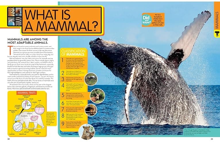 National Geographic Kids Animal Encyclopedia, 2nd Edition: 2,500 Animals with Photos, Maps, and More! (NGK Encyclopedias) thumbnail 2