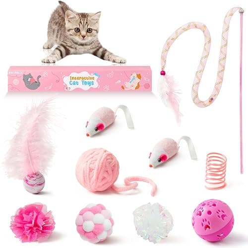 MALLMALL6 10Pcs Cat Toy Set Interactive Cat Toys Pack Including Feather Teaser Wand Cat Springs Mice Crinkle Balls and Pet Bell Balls, Puzzle Toys for Indoor Cats Gift (Pink) - Image 1