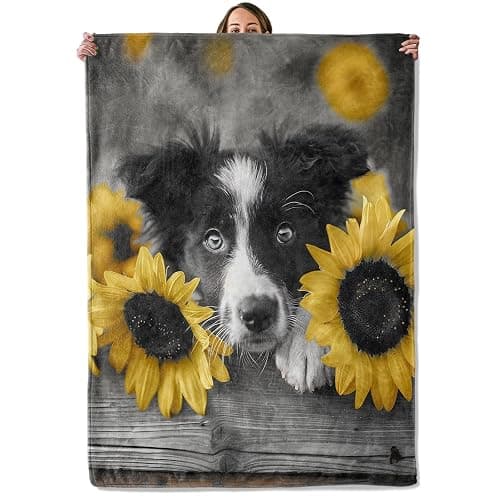 Border Collie Gifts, Dog Blanket for Adults Women Kids, 50x60 in, Cozy Fuzzy Warm Soft Throw Blankets for Bedroom, Camping, Couch, Decor - Image 1