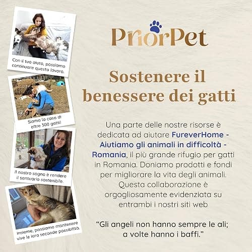 Albero per gatti con Foglie Intercambiabili - Brevettato Tiragraffi per Gatti Adulti, per Arrampicarsi Nascondersi e Dormire - Più Livelli, Facile da Montare - Tiragraffi Gatto Costruzione Robusta thumbnail 12