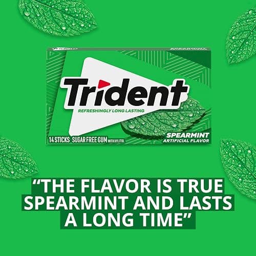 Trident Spearmint Sugar-Free Chewing Gum, 12 Packs of 14 Pieces (168 Total Pieces) thumbnail 8