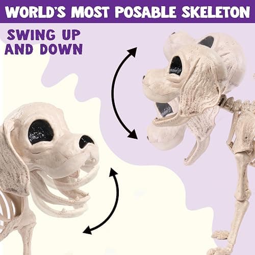 JOYIN Posable Halloween Dog Skeleton Full Body Posable Joints Realistic Skeleton Puppy with Movable Joints for Halloween Decoration, Graveyard Party Decor (9.8” X 4.7” X 12.6”) thumbnail 4