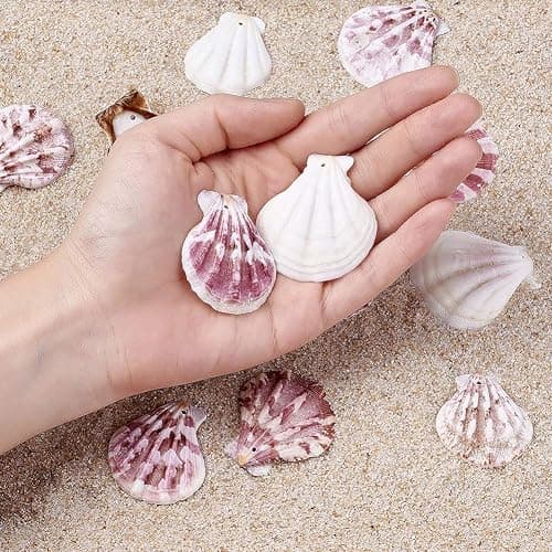 KISSITTY 500 Grams Dyed Scallop Beach Sea Shell Beads with Holes 1.53-1.77" (39-45mm) Length for DIY Jewelry Making Art Craft Projects-Bag of Approx. 90pcs - Mixed Colors#Shell Shape thumbnail 6
