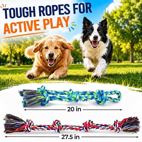 Eefitoys Tough Dog Rope Toys for Aggressive Chewers, Tough Tug of War Dog Toys for Large, Medium & Small Dogs – 5 Pack Including 2 Ropes & 3 Supplies thumbnail 3