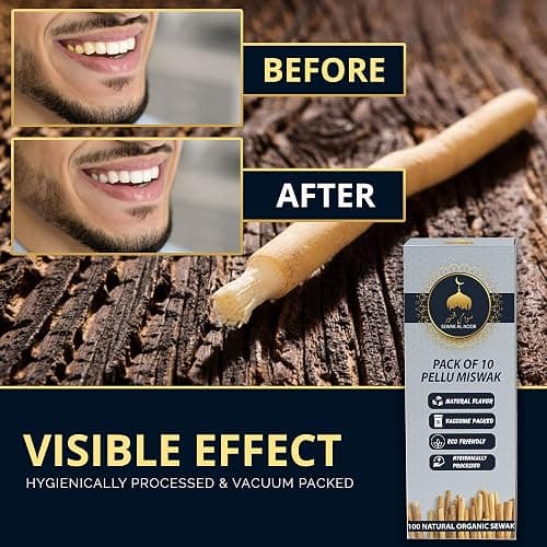 Sewak Al Noor Pack of 10 Miswak Sticks for Teeth with Holder - Vacuum Sealed Natural Flavored Chew Sticks for Humans - Natural Toothbrush for Teeth Whitening, Oral Health & Fresh Breath || Pack of 10 thumbnail 4