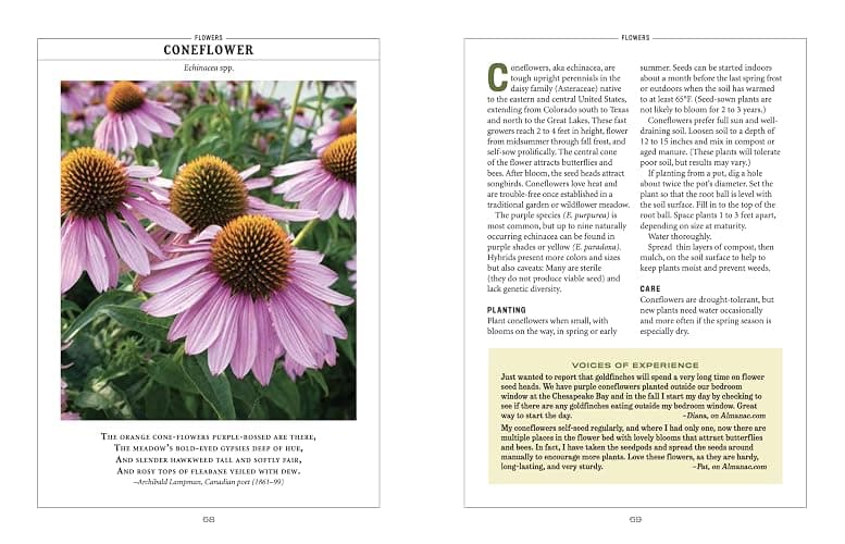 The Old Farmer's Almanac Flower Gardener's Handbook thumbnail 8