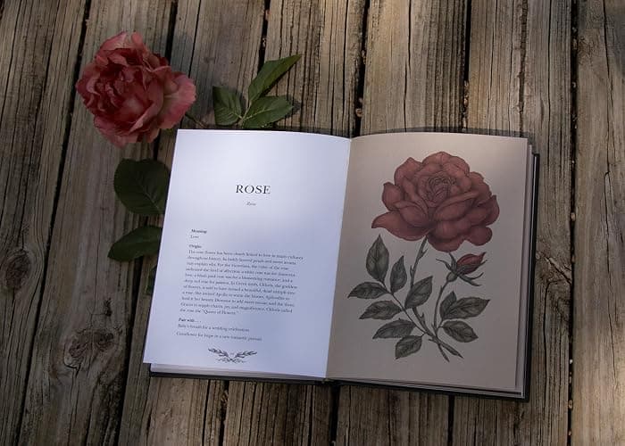 Floriography: An Illustrated Guide to the Victorian Language of Flowers (Volume 1) (Hidden Languages) thumbnail 9
