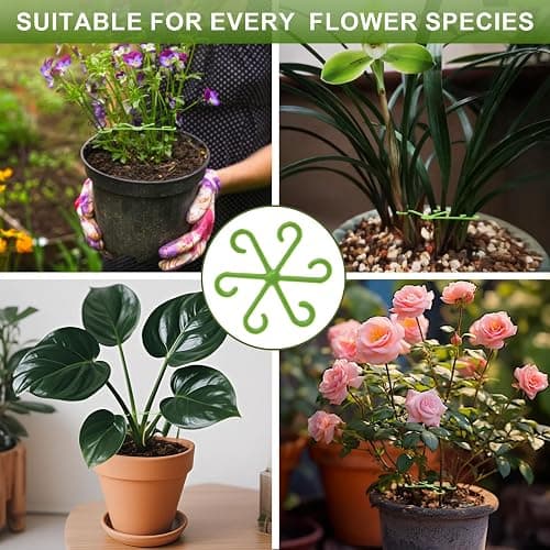 EMOOULI 16pcs Plant Support for Indoor Plants, Plant Stem Support, 4 Sizes Climbing Houseplant Stem Supports，Plant Support Rings, Leaf Holders, Indoor Plant Stakes Stabilizer Accessories  thumbnail 6