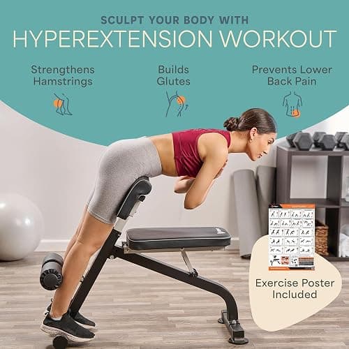 LifePro SculptTrainer Roman Chair with 330 lb Capacity — Incline Adjustable Hyperextension Bench for All-in-One Body Workout — Foldable Home Gym Back Extension Machine for Glutes, Core & Lower Back thumbnail 2