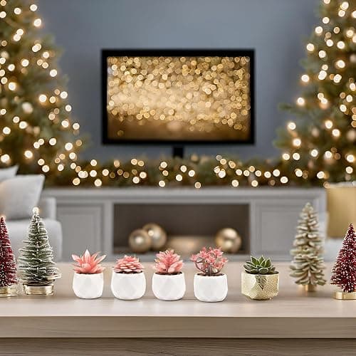 VIVERIE Mini Succulents Plants Artificial in Pots-Rose Pink, Christmas Small Fake Succulents Plants for Home Halloween Decor Indoor for Women, White Ceramic, Set of 4, Gifts for Mom thumbnail 9