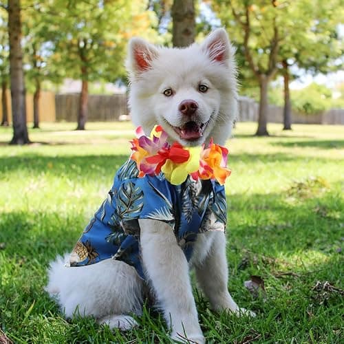 3 Pieces Pet Dog Hawaiian Costume, Includes Puppy Cool T-Shirts Summer Clothes, Funny Cute Dog Retro Fashion Sunglasses and a Colorful Wreath for Small to Medium pet(Blue Series) thumbnail 5