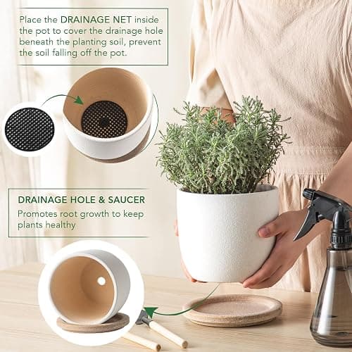 POITONRU Ceramic Flower Pots Indoor-Outdoor: 5.75 Inch Planters with Drainage Holes & Saucer - Modern Decorative Plant Pots Ceramic for Home Gardeners (White) thumbnail 4