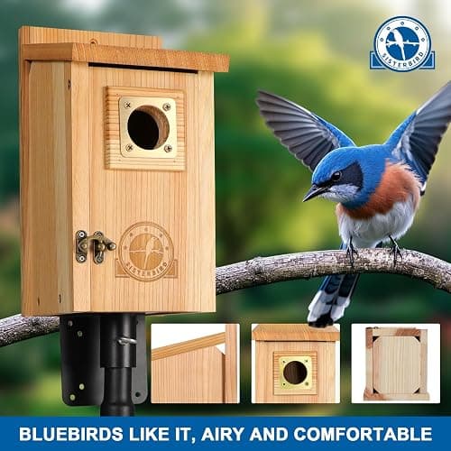 SISTERBIRD 2 Pack Bird Houses for Outside Clearance with Copper Guard, Cedar Bird House Outdoor, Bluebird Finch Swallow Wren Chickadee Assembly Required thumbnail 2