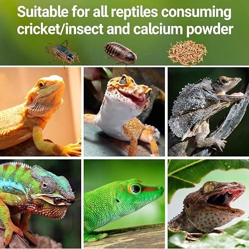 REPTI ZOO Reptile Cricket Calcium Powder Mixer, Cricket Keeper Shaker for Bearded Dragon Gecko Snake Lizards, Dispenser Feeder for Chameleon Reptile & Amphibians thumbnail 7