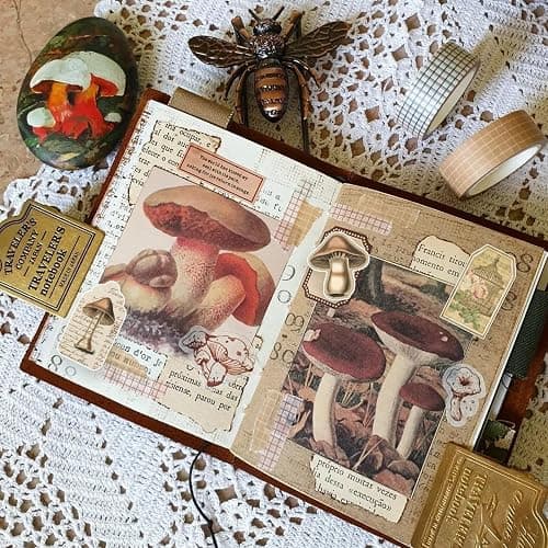 Vintage Mushroom Stickers 60 Pcs, Large Witchy Aesthetic Mushroom Decor for Adults Teens, Vintage Decal for Scrapbook, Junk Journal, Bullet Journal, Card Making, DIY Crafts thumbnail 6