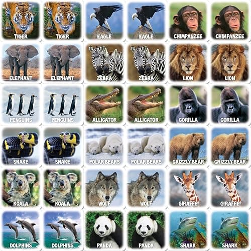 World of Animals Matching Game thumbnail 2
