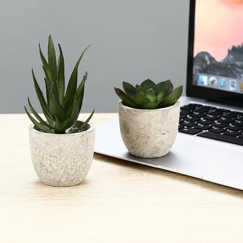 5 Stück Kunstpflanze, Mini Künstliche Pflanzen Schlangenzunge, Agave Sukkulente, Eagle Claw Aloe, Künstliche Pflanzen für Schlafzimmer Büro Dekoration thumbnail 7