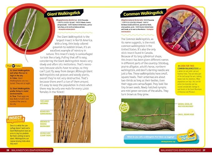 Ultimate Explorer Field Guide: Insects: Find Adventure! Go Outside! Have Fun! Be a Backyard Insect Inspector! thumbnail 3