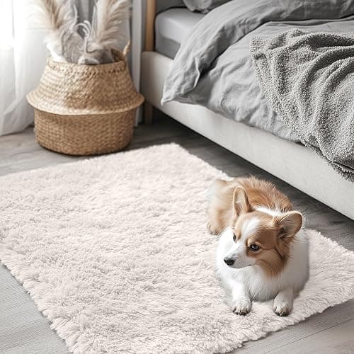 Tiny Comfy Carpet  thumbnail 3