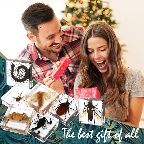 Hudirgo 7 Pcs Real Taxidermy Bugs - Insects in Resin for School Lab Entomology Dissection, Bugs in Resin Gifts for Specimen Collector, Family Or Friends (1.5 X 1.5 X 0.6 Inch) thumbnail 7