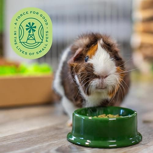 Oxbow Essentials Guinea Pig Food, Adult Guinea Pig, Made with Oxbow Timothy Hay, Pet Food Pellets with Vitamin C, Small Animal Pet Products, Made in USA, High Fiber, 10 lb. bag thumbnail 9