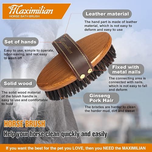 MAXIMILIAN World Class Handmade Equine Stiff Body Horse Brush. Professional Equine Grooming Tools. Effortlessly Removes Mud, Sweat and Dirt from Your Horses Hair. thumbnail 3
