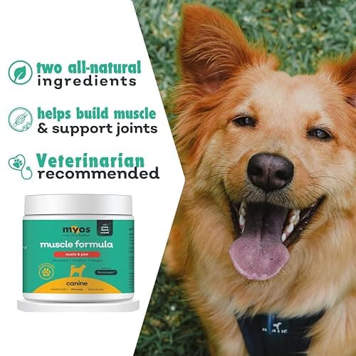 MYOS Muscle & Joint Powered by Fortetropin with Green Lipped Mussel (198 gr) thumbnail 2
