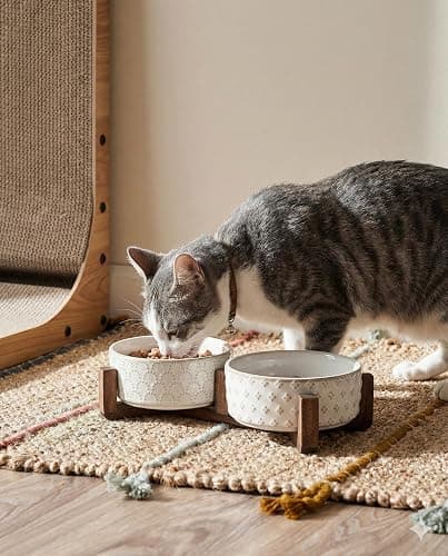 Food bowls  thumbnail 6