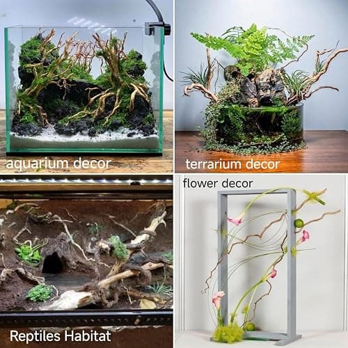 Azil Natural Aquarium Driftwood Root – Driftwood for Aquarium Decor, 170g~0.38lb (14″–16″), Fish Tanks, Terrariums, Aquascaping & Planted Tanks thumbnail 5