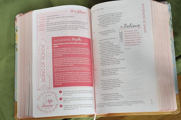 NIV, True Images Bible, Leathersoft, Teal/Gold: The Bible for Teen Girls thumbnail 8