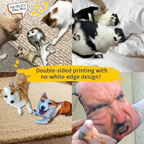 Ugly cat pillow thumbnail 2