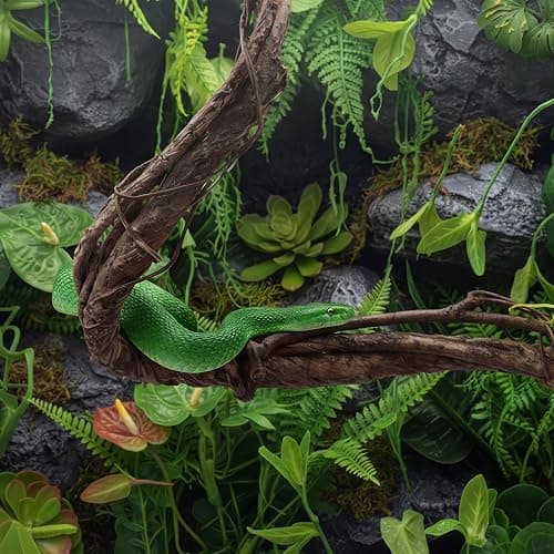 Suncalla 5 Pcs 35in Artificial Bendable Tree Branches for Decor, Native | Fake Trunk Twigs with Leaves, Cherry Blossom Grape Vines, Halloween Steady Branch Garland, Wall Hanging Reptile Habitat Decor thumbnail 7