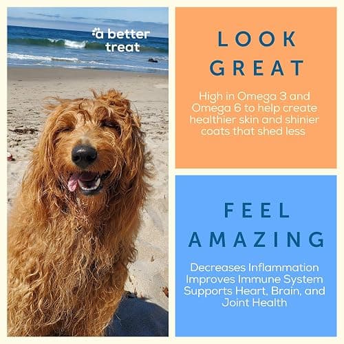A Better Treat – Freeze Dried Salmon Dog Treats, Wild Caught, Single Ingredient | Natural High Value | Gluten Free, Grain Free, High Protein, Diabetic Friendly | Natural Fish Oil | Made in The USA thumbnail 6