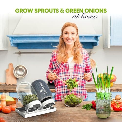 Premium Seed Sprouting Kit & Green Onion Regrower – 2 Wide-Mouth Mason Jars with Sprout Lids, Stainless Stand, Drain Tray, Blackout Sleeves & Cleaning Brush for Broccoli, Alfalfa & Mung Beans thumbnail 2