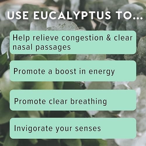 MOXĒ Eucalyptus Essential Oil Nasal Inhaler, Sinus & Congestion Relief, Daily Relaxation, Stress Relief, Therapeutic No-Mess Aromatherapy, Pure and Natural, Made in USA (3 Pack) packaging may vary thumbnail 6