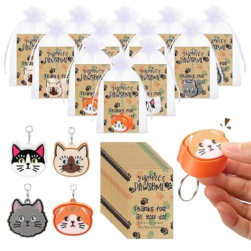 Gerrii 24 Sets 3D Fidget Keychains with Inspirational Cards Bulk 3D Press Stress Relief Sensory Keychain Gifts Employee Appreciation Positive Gifts for Coworkers Teacher (Colourful,Cat) - Image 1