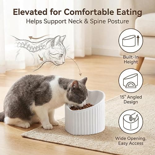 Pink Ceramic Raised Cat Bowls, Tilted Elevated Food or Water Bowls, Stress Free, Backflow Prevention, Dishwasher and Microwave Safe, Lead & Cadmium Free thumbnail 3