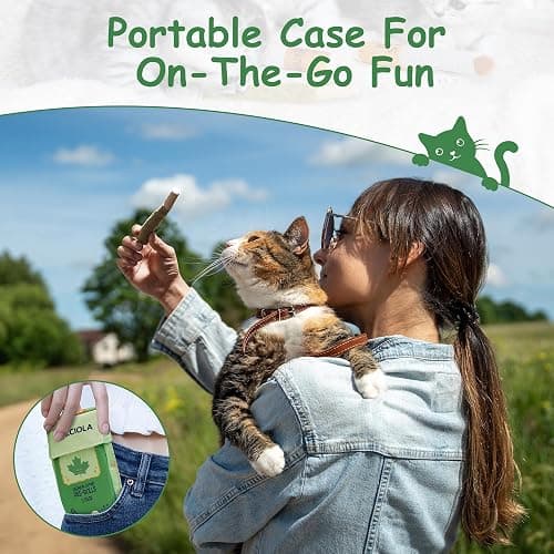 Nocciola 3 Pack Catnip Toys for Cats, Funny Cat Toys Filled with 100% Pure Organic Catnip, Safe Kitten Teething Chew and Kicker Toys, Stress Relieving Fun for Indoor Cats thumbnail 6