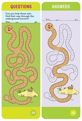 Brain Quest Pre-Kindergarten Smart Cards Revised 5th Edition (Brain Quest Smart Cards) thumbnail 3