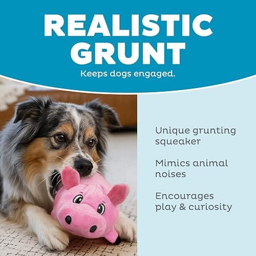 Outward Hound Fattiez Pig Plush Squeaky Dog Toy, Small thumbnail 4