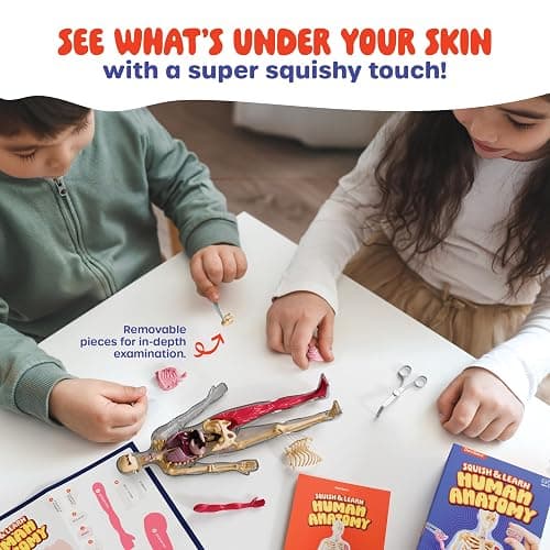 Human Anatomy Squishy Body Model - STEM Science Kits for Kids Ages 4-8 | STEM Toys for 4 5 6 7 8 Year Old Boy Birthday Gift - Learning Educational Toys for Ages 5-7 Boys Gifts - Skeleton Parts thumbnail 3