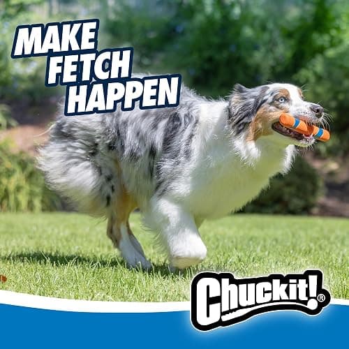 Chuckit! Interactive Dog Toy Ultra Fetch Stick - 12 Inch Outdoor Dog Toy for All Breed Sizes thumbnail 3
