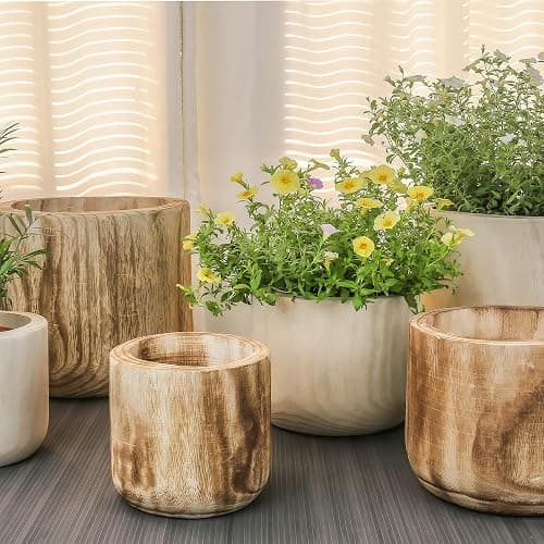 CYS EXCEL 6.25'' Natural Cylinder Planter Lightweight Natural Wood Cachepot for Indoor Plants, Succulents, Herbs, Home & Office Decor thumbnail 6