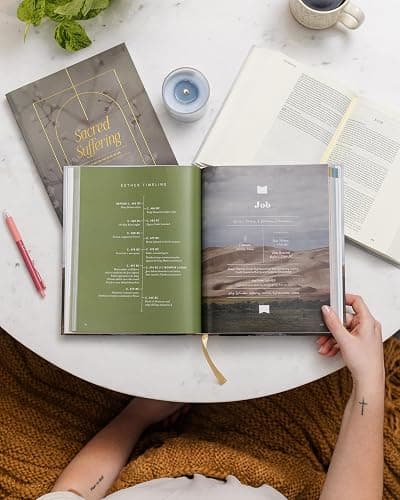The Bible Handbook: A Book-by-Book Guide to the Entire Bible thumbnail 3