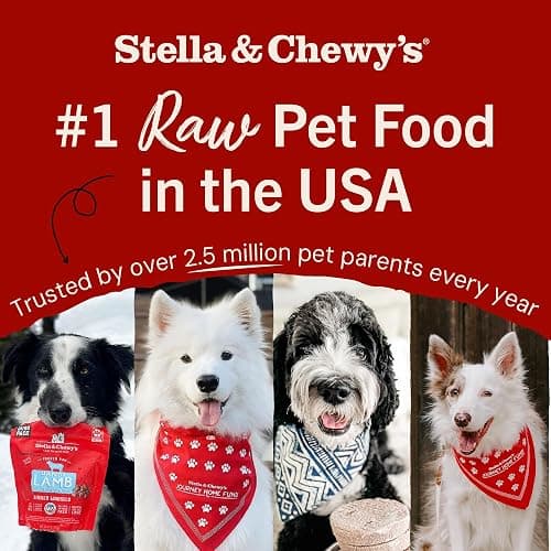 Stella & Chewy's Freeze-Dried Raw Chicken Meal Mixers- Dog Food Topper and Mixer - Made with 95% Cage-Free Chicken, Organs & Bone - Perfect for Picky Eaters - Grain-Free - 3.5oz thumbnail 7