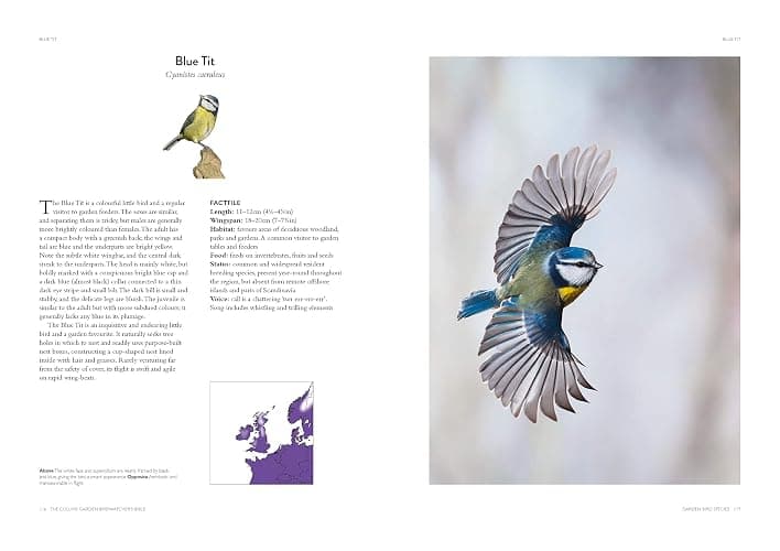 The Collins Garden Birdwatcher’s Bible: A Practical Ornithology Guide to Identifying and Understanding Garden Birds thumbnail 6