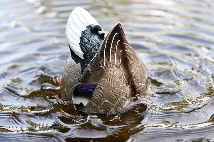 Mojo Outdoors Mojo Butt Up Rippler, Mallard thumbnail 6