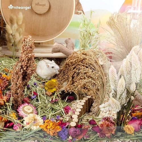 Niteangel Natural & Soft Hamster Bedding for Syrian Dwarf Hamsters Gerbils Mice Degus Bunny or Other Small-Sized Pet (Natural Poem Version) thumbnail 6