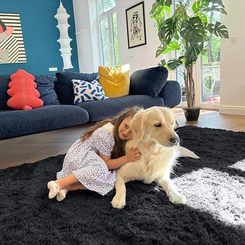 OLANLY Area Rugs for Living Room Bedroom, Machine Washable 4x5.9 ft Soft Fluffy Shaggy Bedside Rug, Indoor Floor Carpet for Kids Girls and Boys, Dorms, Nursery Rooms, Home Decor Aesthetic, Black thumbnail 4